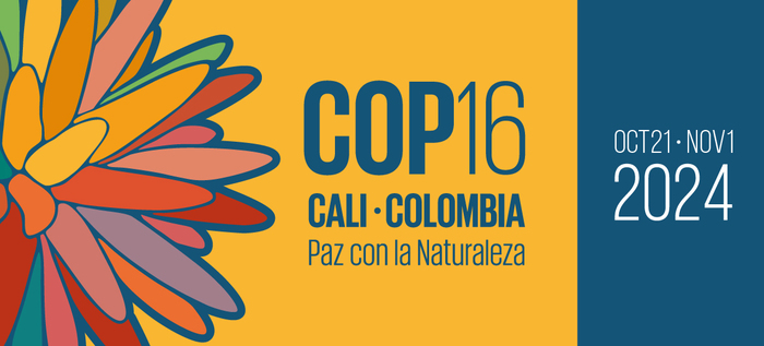 El nombre de Cali ya está en el logo de la COP16 y se visibilizará en